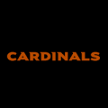 Arizona Cardinals 12