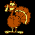 Turkey 12