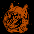 Astrocat 01