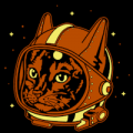 Astrocat 02