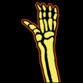 Hand_02_MOCK.png