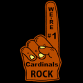 Arizona Cardinals 05