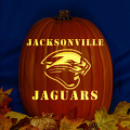 Jacksonville Jaguars 02 CO