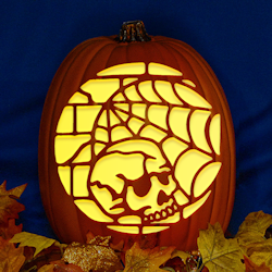 Skull in Spider Web CO - StoneyKins, image size:250x250