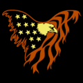 Eagle Flag