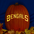 Cincinnati Bengals 03 CO