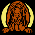 Bloodhound Peeking 01