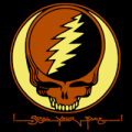 Grateful Dead Steal Your Face 02