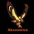 Seattle Seahawks 10