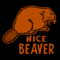 Nice Beaver 02