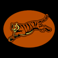 Cincinnati Bengals 13