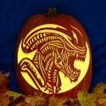 Alien Xenomorph CO