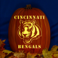 Cincinnati Bengals 05 CO