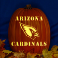 Arizona Cardinals 03 CO