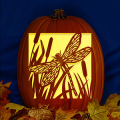 Dragonfly CO