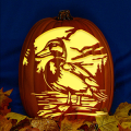 Mallard Duck 01 CO