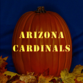 Arizona Cardinals 04 CO