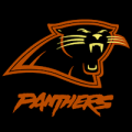 Carolina Panthers 02