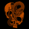 Snake in Skull