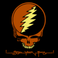 Grateful Dead Steal Your Face 03