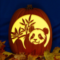 Panda Bear CO