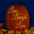 Live Laugh Love CO