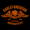 Harley Davidson Motorcycles 01