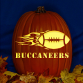 Tampa Bay Buccaneers 06 CO