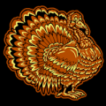 Fancy Turkey 02