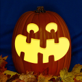 Jack O 248 CO