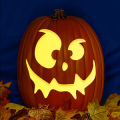 Jack O 233 CO
