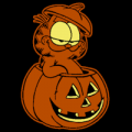 Garfield Inside Pumpkin