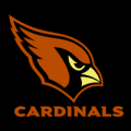 Arizona Cardinals 01