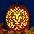 Lions Head CO