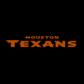Houston Texans 03