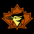 Toronto Blue Jays 19