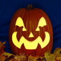 Jack-O 212 CO