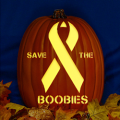 Save the Boobies CO