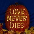 Love Never Dies Text CO