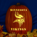 Minnesota Vikings 01 CO