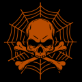 Crossbones With Spider Web