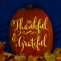 Thankful & Grateful 01 CO