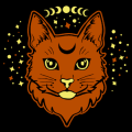 Cat with Stars and Moon