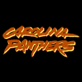 Carolina Panthers 11