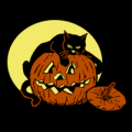 Cat Guarding Pumpkin 01