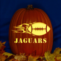 Jacksonville Jaguars 07 CO