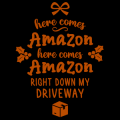 Here Comes Amazon Here Comes Amazon 01
