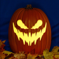 Jack O 229 CO