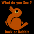 An Optical Illusion Bunny or a Duck