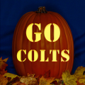 Indianapolis Colts 08 CO